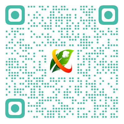 扫码添加微信-辰光资源网